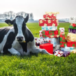 Sinterklaasavond 7 december
